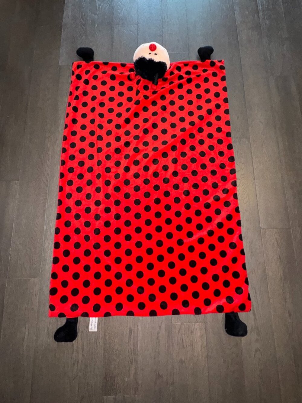Child My Pillow Pal Lady Bug Soft Blanket Throw Pillow Head Rest Red and Black
